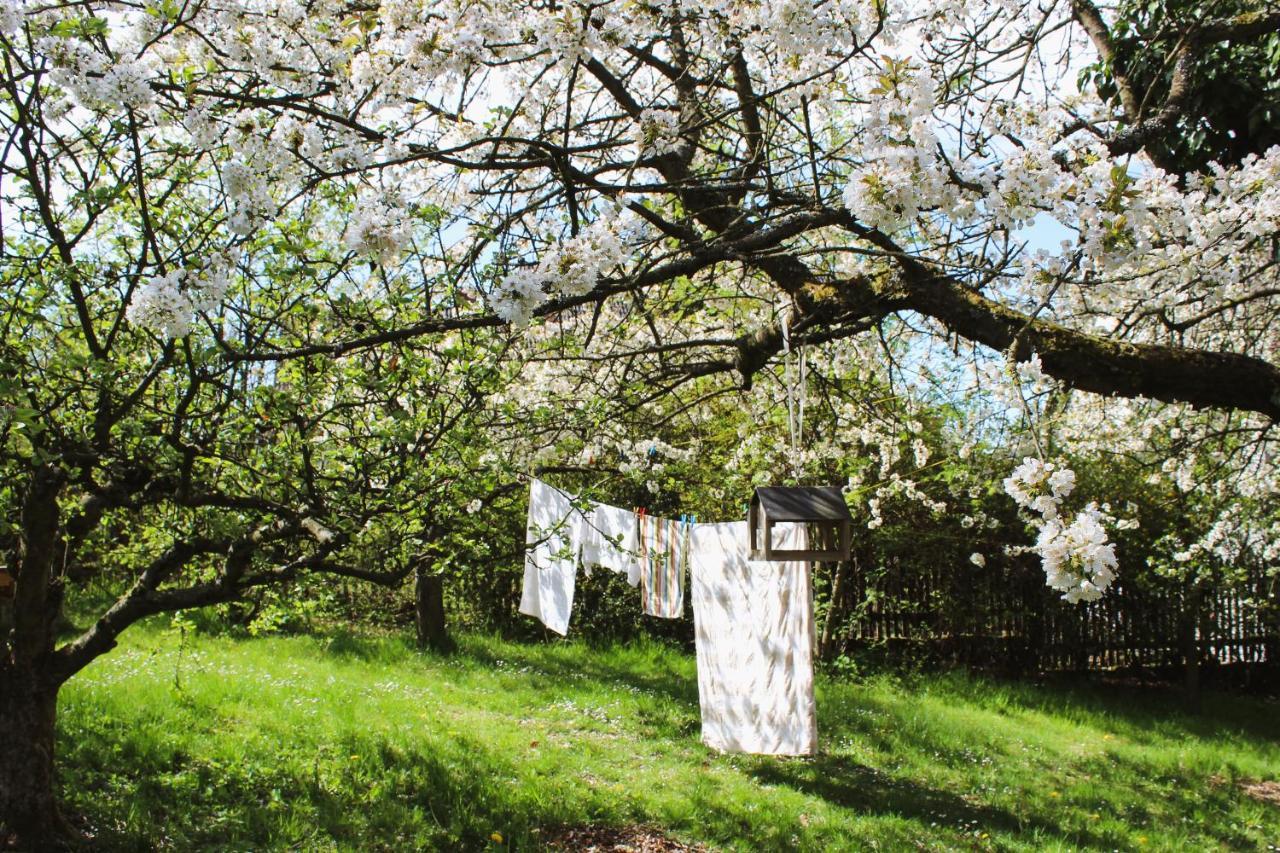 Hotel Penzion Pod Kalvárií Úštěk Esterno foto